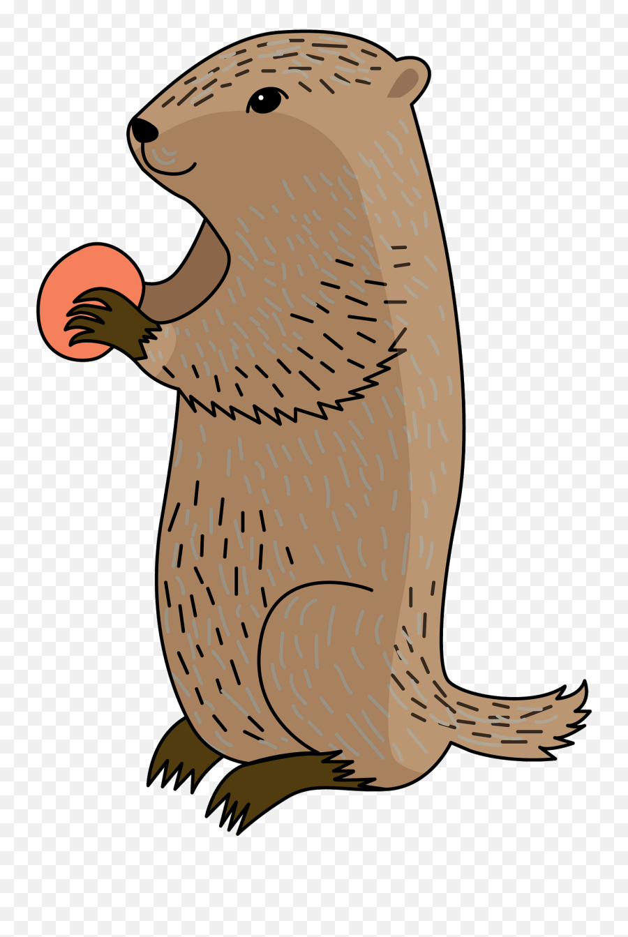 Groundhog Clipart - Marmota Dibujo Emoji,Groundhog Emoji