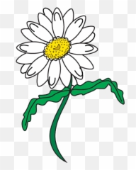 How To Draw A Daisy - Daisy Drawing Emoji,Daisy Emoji