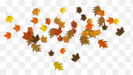 Fallen Leaf Png Clipart - Border Leaves Autumn Emoji