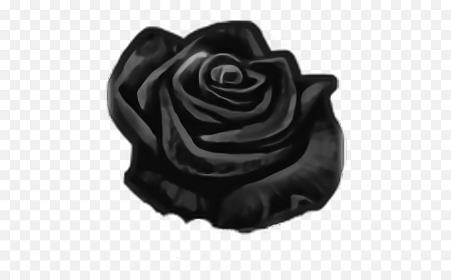 Rose Roses Flowers Flower Sticker - Still Life Photography Emoji,Black Rose Emoji