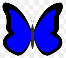 2012 February 02 Xochi - Blue Butterfly Clipart Color Blue Butterfly Clip Art Emoji,Blue Butterfly Emoji