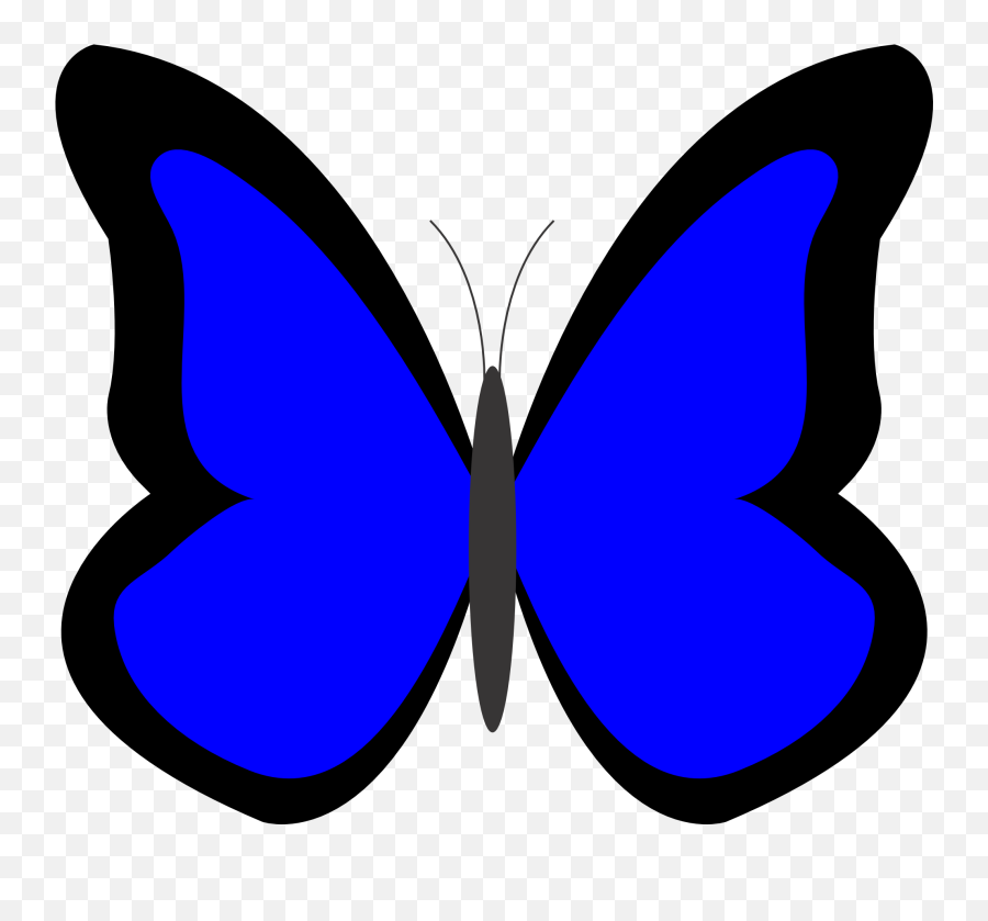 2012 February 02 Xochi - Blue Butterfly Clipart Color Blue Butterfly Clip Art Emoji,Blue Butterfly Emoji