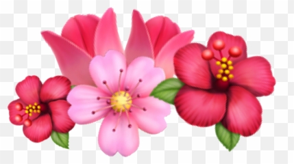 Flower - Flower Crown Transparent Emoji,Sakura Emoji