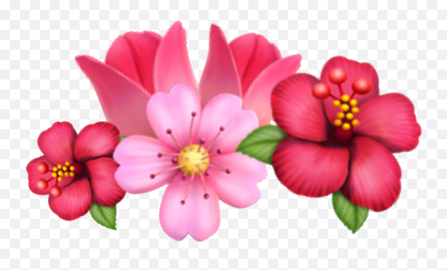 Flower - Flower Crown Transparent Emoji,Sakura Emoji