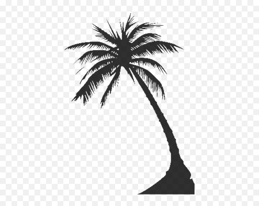 Download Hd Palm Tree Graphic - Palm Tree Silhouette Silhouette Palm Tree Vector Emoji,Palm Tree Emoji