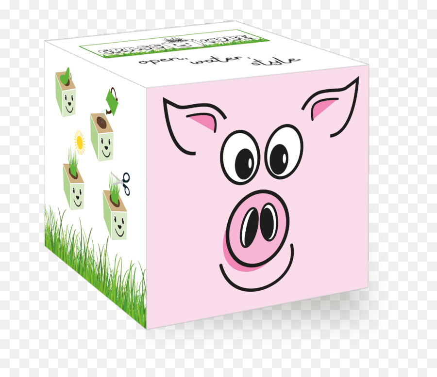 Pig - Panda Cube Emoji,Box Emoticon