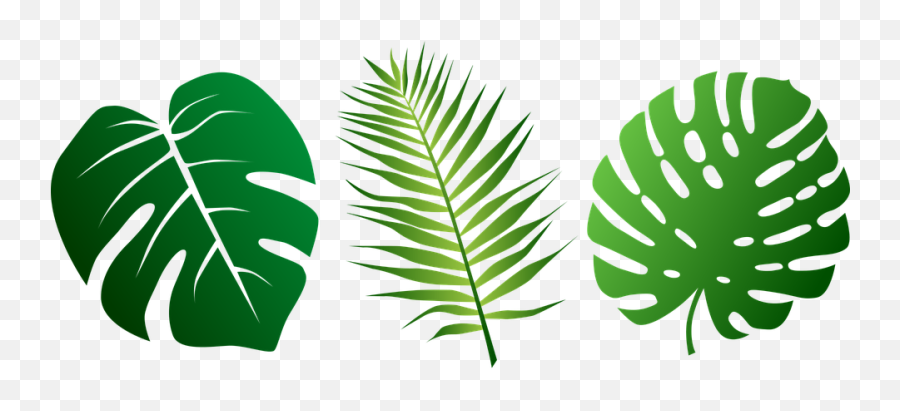 Free Tropical Fish Vectors - Jungle Leaves Clipart Emoji,77 Emoticon Significado