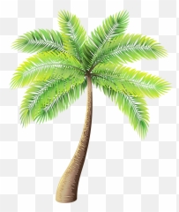 Palm Tree Clipart Png - Transparent Background Emoji