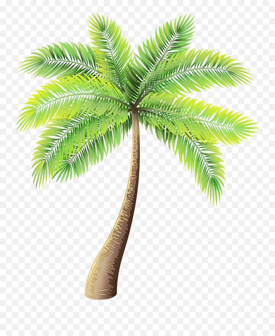Palm Tree Clipart Png - Palm Tree Transparent Background Emoji,Palm Tree Emoji Transparent