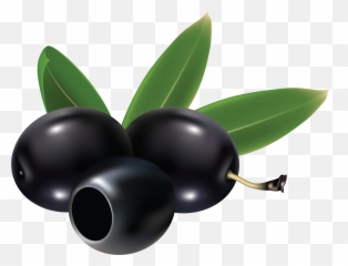 Black Olives Png Clipart - Black Olives Clip Art Emoji,Olive Branch Emoji