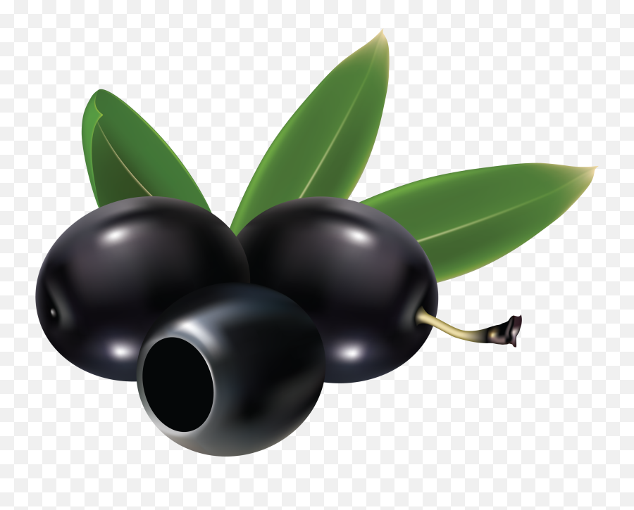 Black Olives Png Clipart - Black Olives Clip Art Emoji,Olive Branch Emoji