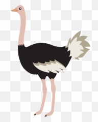 Ostrich Images Clipart - Ostrich Clipart Emoji,Ostrich Emoji