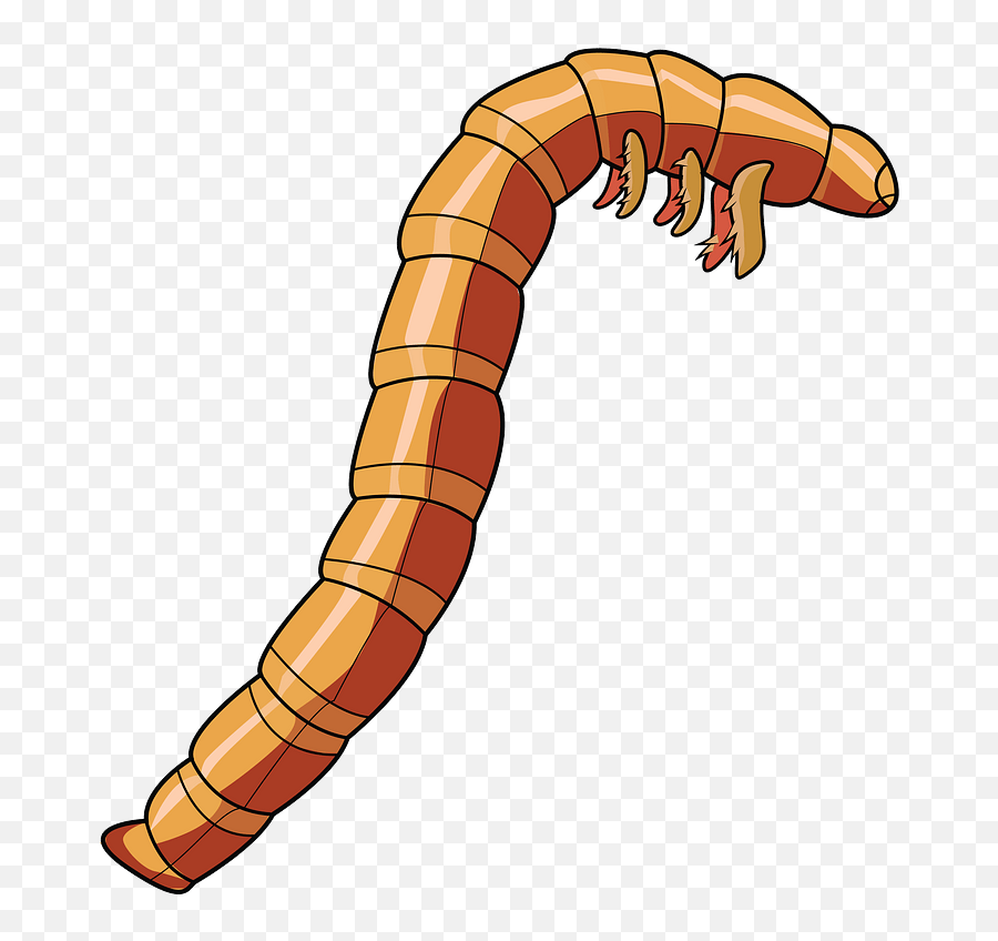 Mealworm Beetle Larva Clipart Free Download Transparent - Dibujos Animados De Larvas Emoji,Caterpillar Emoji