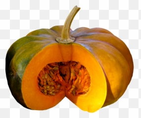 Eat Food Pumpkin Seeds Crop - Parts Of A Real Emoji