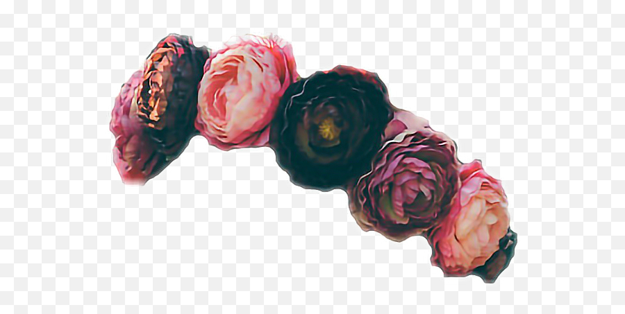 Flowercrown Flower Black Flower Sticker - Transparent Aesthetic Flower Crown Emoji,Black Flower Emoji