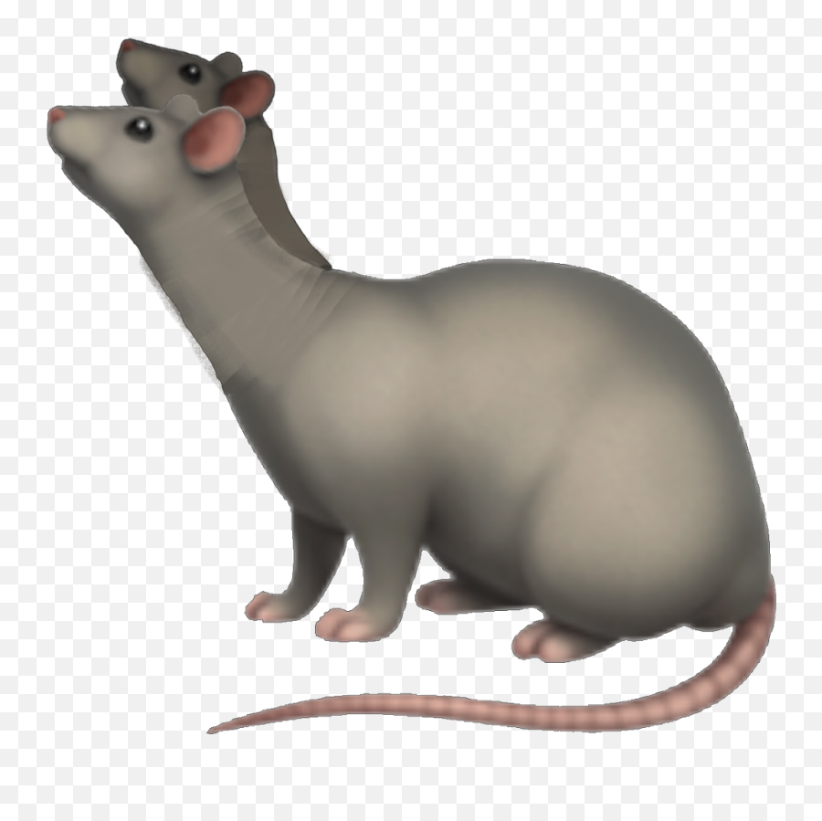 Rat Emoji Distortion Rats Dirtcore Bodyhorror Horror - Emoji,Rat Emoji