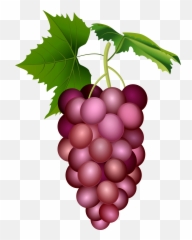 Grapes Clipart Pink Fruit Transparent Emoji