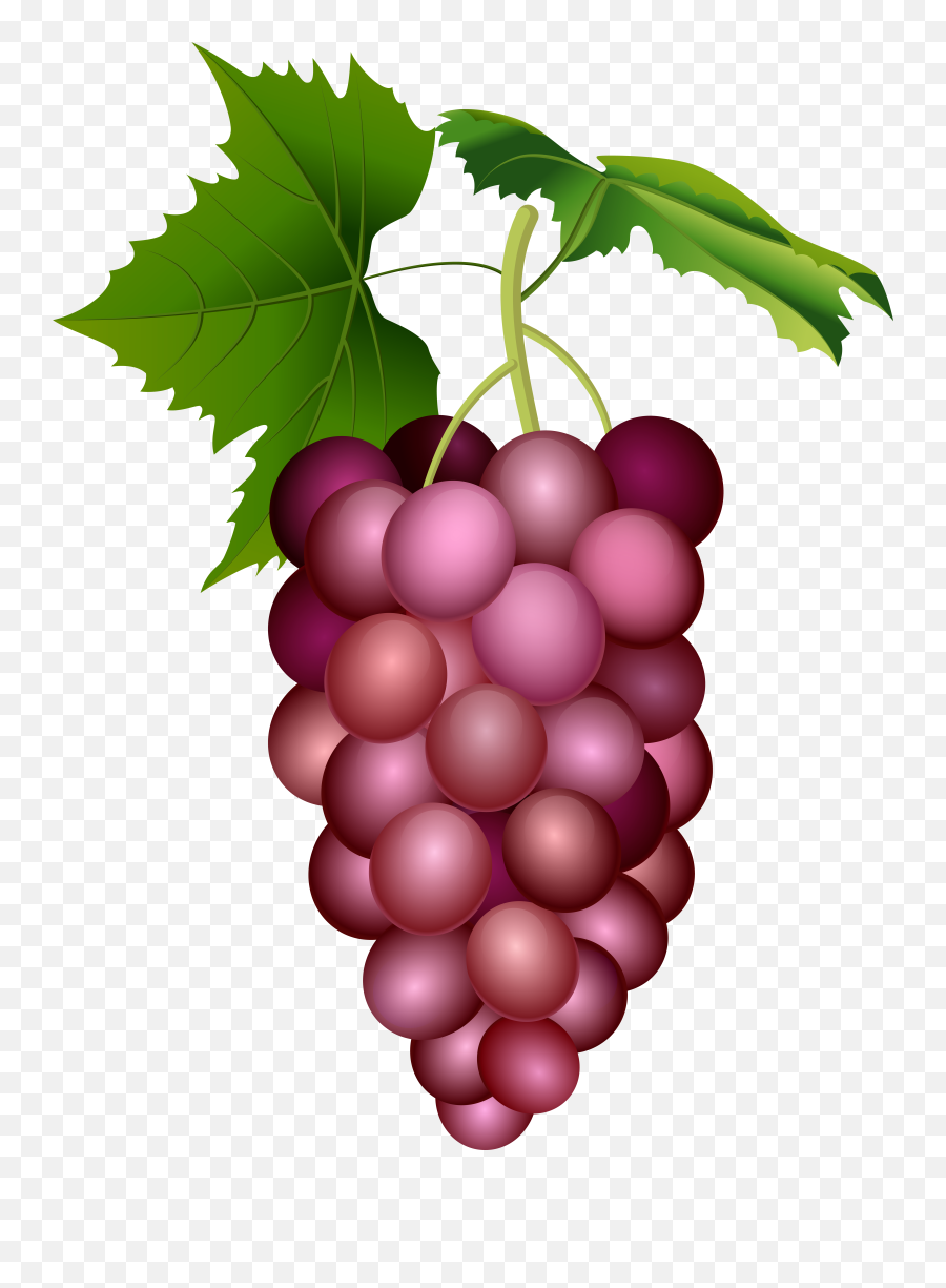Grapes Clipart Pink Fruit Grapes Pink Fruit Transparent Emoji,Grape Emoji