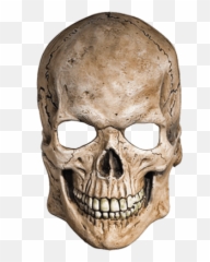 Skull Emoji Sticker Transparent Png - Skull Png Transparent Background,Skeleton Emoji