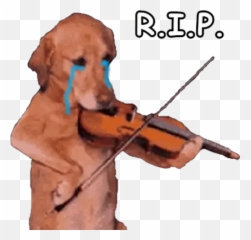 La Hora Sad 2 Stickers For Whatsapp - Dog Playing Violin Emoji