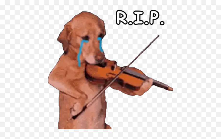 La Hora Sad 2 Stickers For Whatsapp - Sad Dog Playing Violin Emoji,Violin Emoji