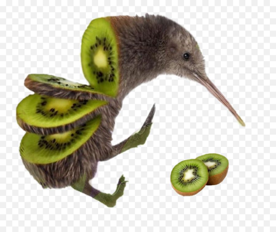 Kiwi Bird Kiwibird Birdkiwi - Kiwi Bird Emoji,Kiwi Emoji
