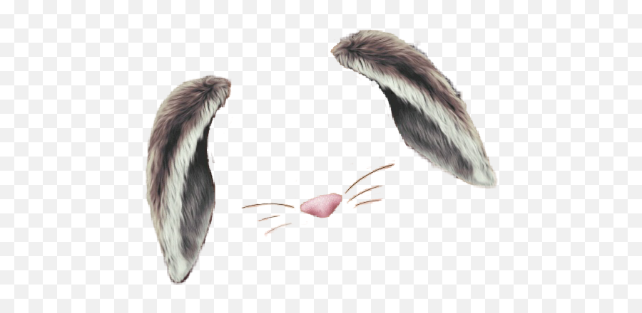 Snapchat Emoji Ohren Nase Ostern - Osterhasen Ohren Transparent Png,Emoji Feather