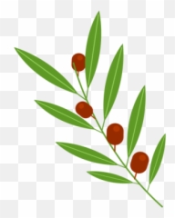 Noto Emoji Food Drink Iconset - Rama De Olivo Png,Olive Branch Emoji