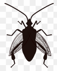 Room24 - Geography Bug The Question Emoji,Cockroach Emoticon