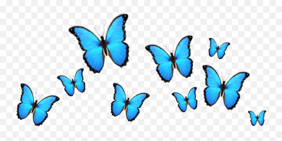 Iphone Transparent Background Blue Butterfly Emoji - Language,Drip Emoji
