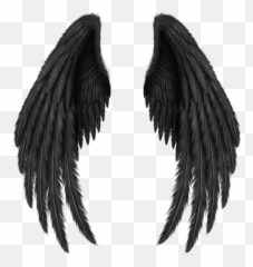 Ssg - Angel Of Death Wings Emoji