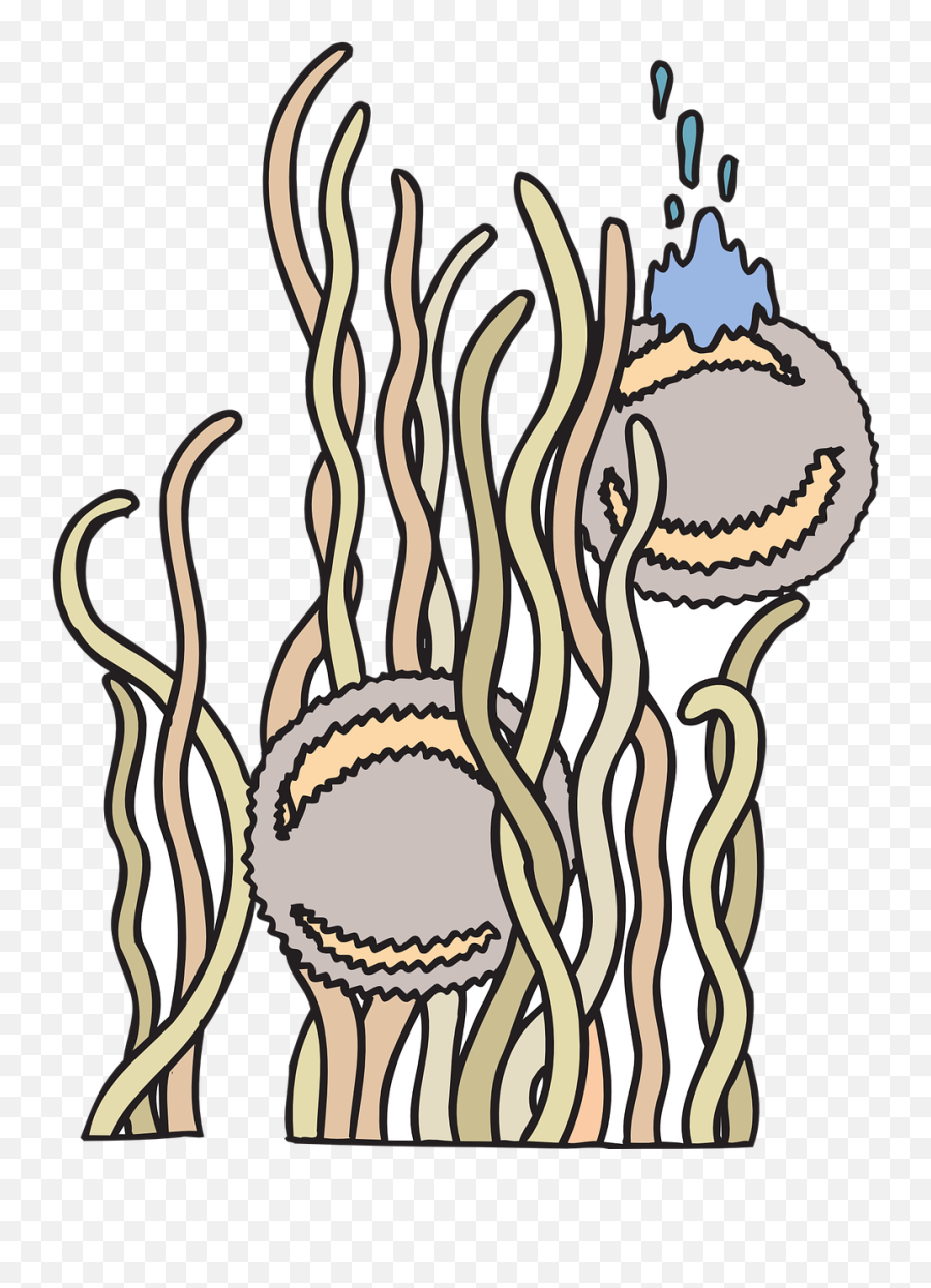 Floating Anemone Creatures Sea - Anemon Laut Png Emoji,Sinking Ship Emoji