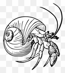 Fmib 52669 Pagurus Bernhardus The - Hermit Crab Black And White Emoji