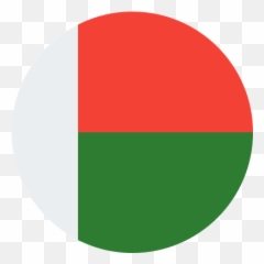 Madagascar Icon - Circle Emoji