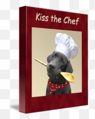 Kiss the Chef Black Labrador Retriever by Amy Reges - Emoji