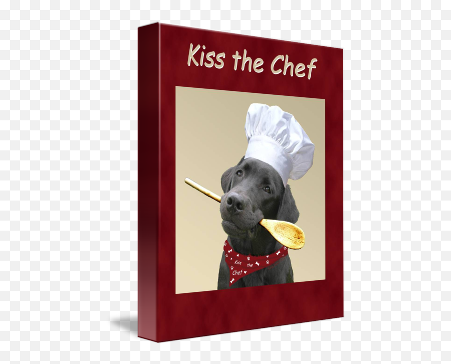 Kiss The Chef Black Labrador Retriever By Amy Reges - Labrador Retriever Emoji,Kiss Emotion
