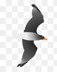 Seagull Png Svg Clip Art For Web - Seabird Emoji,Seagull Emoji