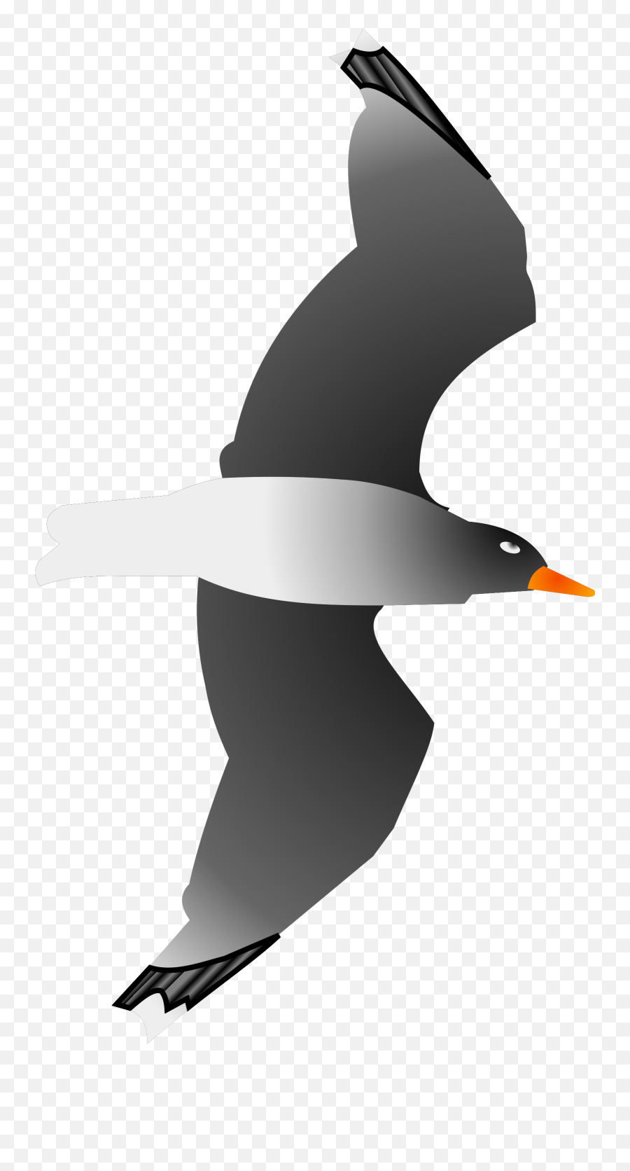 Seagull Png Svg Clip Art For Web - Seabird Emoji,Seagull Emoji