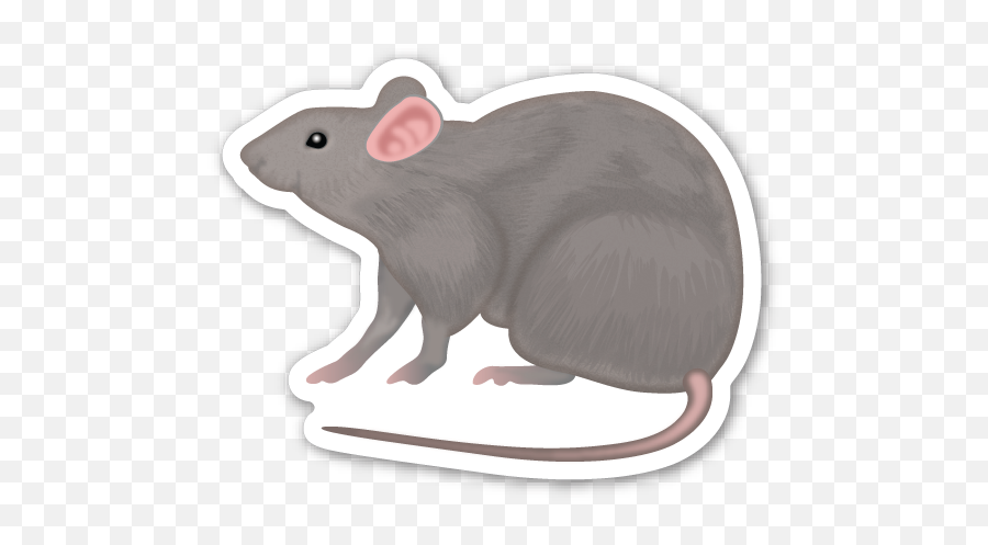 Rat - Emoji De Rata Png,Rat Emoji