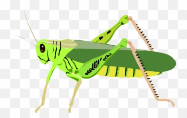Cute Cricket Insect Clipart - Grasshopper Clipart Emoji,Cricket Emoji