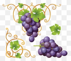 Purple Colour Transparent Png Clipart - Clipart Transparent Grape Emoji,Raisin Emoji