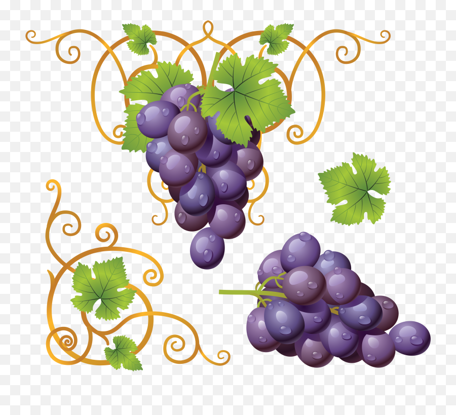 Purple Colour Transparent Png Clipart - Clipart Transparent Grape Emoji,Raisin Emoji