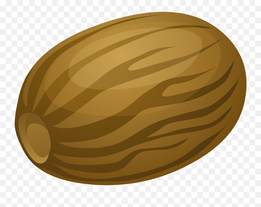Nutmeg Nut Shell Brown Food - Nutmeg Vector Png Emoji,Mango Fruit Emoji