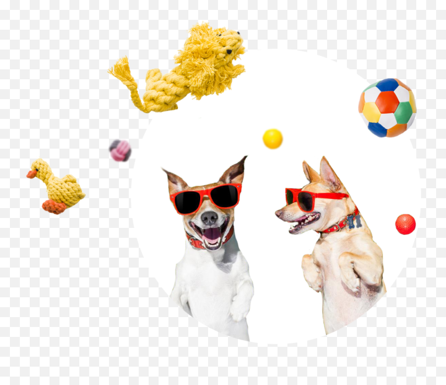 Baynne Small Size Dog Tennis Ball Giant Pet Toys For Dog - Dental Summer Emoji,Tennis Ball Emoji
