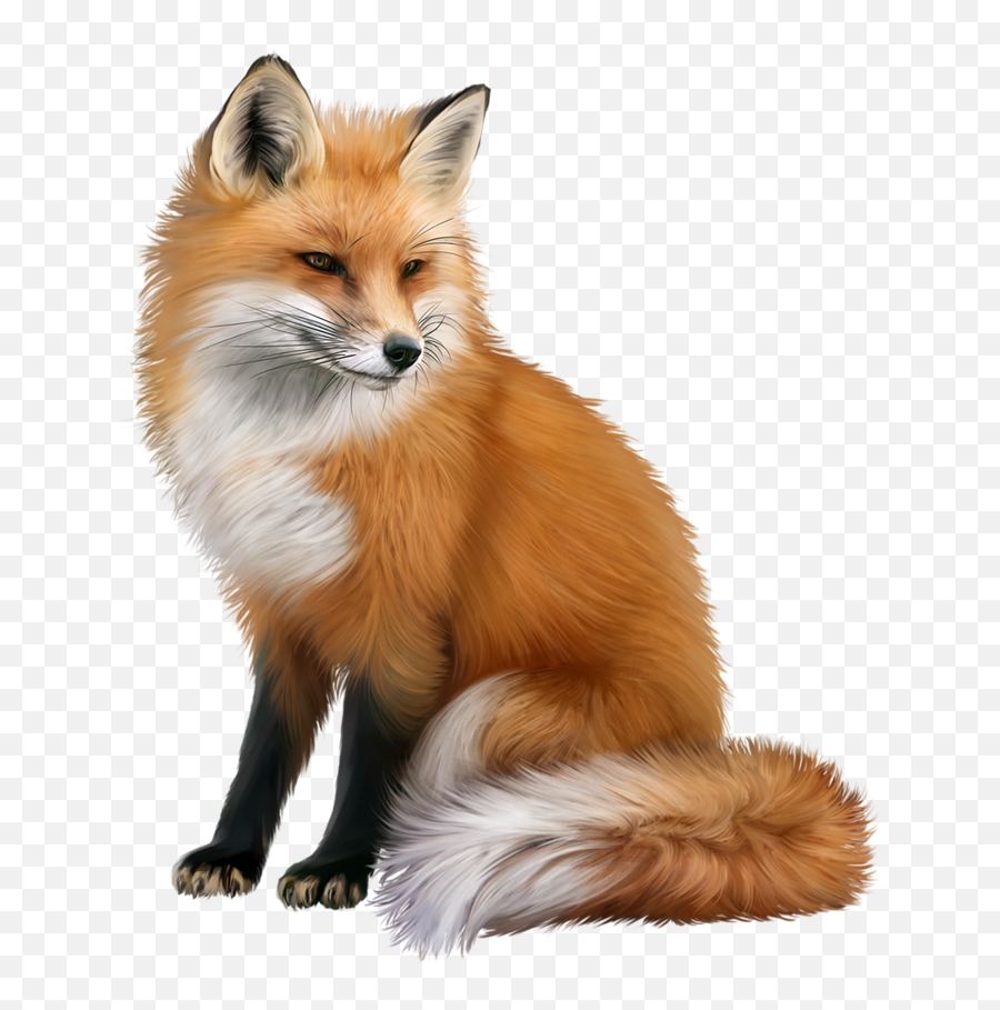 Red Fox Portable Network Graphics Animal Computer Icons - Fox Png Emoji,Fox Emoji Facebook