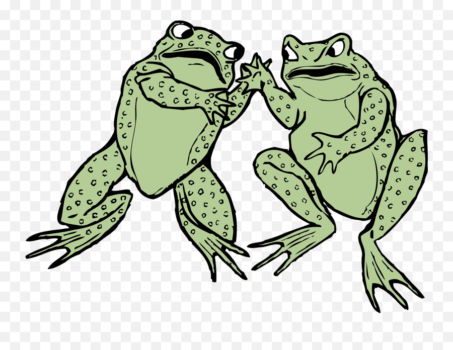 Frogs Green Grey Amphibians Animals - Frog Clip Art Emoji,Rock Out Emoji