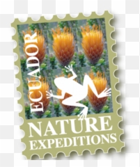 Nature Expeditions Ecuador Emoji