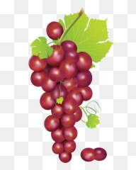 Grapes Art - Red Clipart Emoji