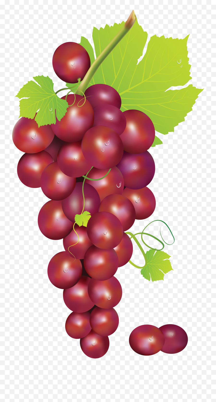 Grapes Grape Art - Red Grapes Clipart Emoji,Grape Emoji