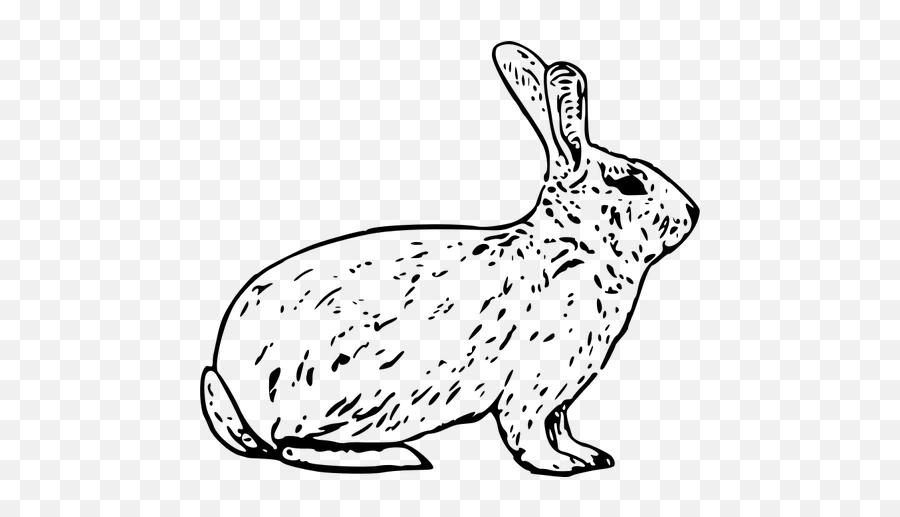 French Rabbit - Arctic Hare Clipart Black And White Emoji,French Horn Emoji